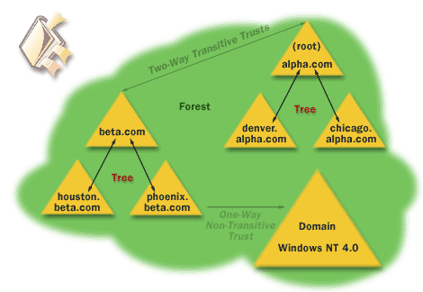 3) A forest is a group of trees that do not share a contiguous namespace. The trees in a forest share a common configuration, schema, and global catalog.