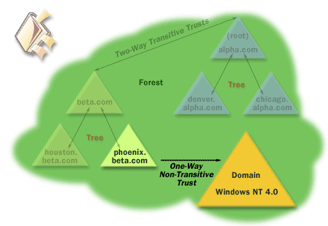 7) In a one-way non-transitive trust relationship, if domain green trusts domain yellow, domain yellow does not automatically trust domain green
