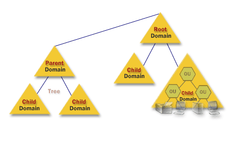 Домен дети. Root domain. Active Directory Forest Trees and domains. Multiple domains. Organizational Unit.