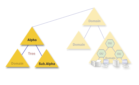 5) Each domain in a tree is assigned a name using the hierarchical Domain Naming System, or DNS
