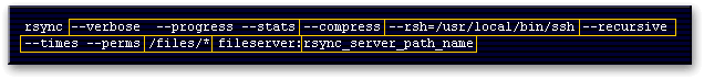 rsync parameters