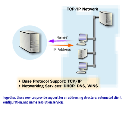 13) Together, these services provide support for an addressing structure, automated client configuration, and name resolution services.