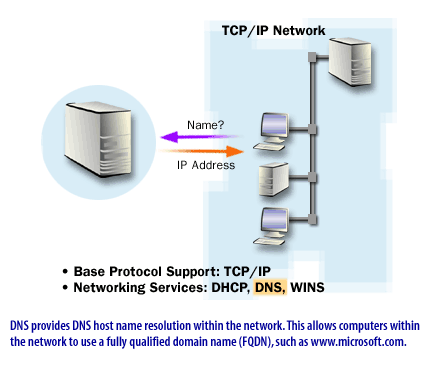 5) DNS provides DNS host name resolution within the network.
