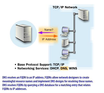 6) DNS provides DNS host name resolution within the network. This allows computers within the network to use a fully qualified domain name, such as www.cplusoop.com