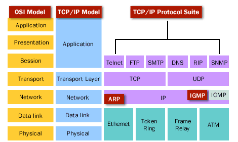 1) OSI Model 2) TCP/IP Model 3) TCP/IP Protocol Suite