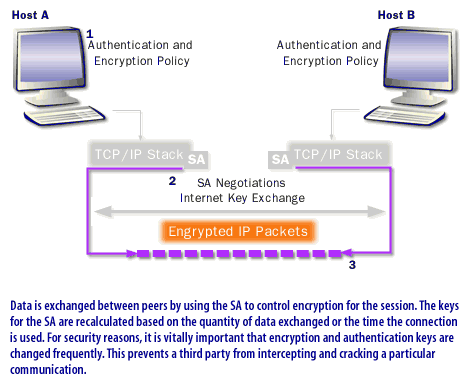 4) Data is exchanged between peers by using teh SA to control encryption for the session.