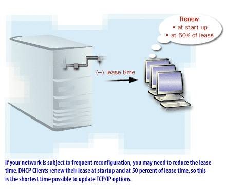 Answer File 11