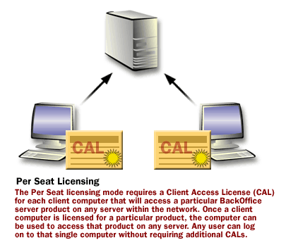 Per Seat Licensing