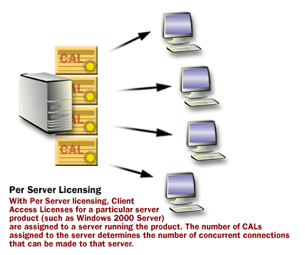 Per Server licensing