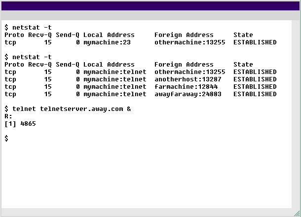 Netstat Linux 4