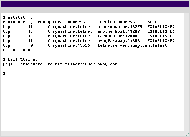 Netstat Linux 6