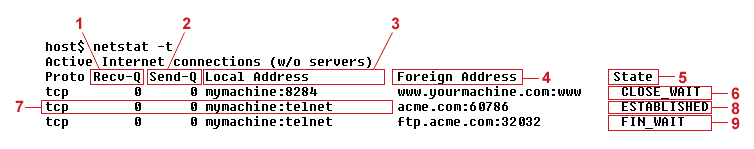 Output of netstat command