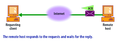 4) The remote host responds to the requests and waits for the reply
