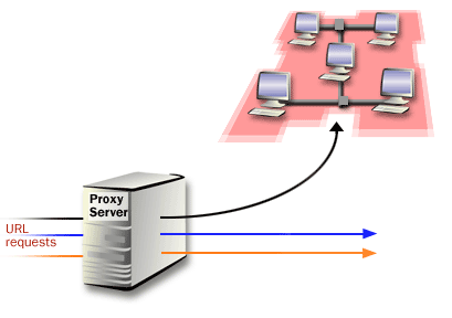 3) Third, you can intercept inbound Uniform Resource Locator requests and determine whether the requests must be forwarded to a private network resource.