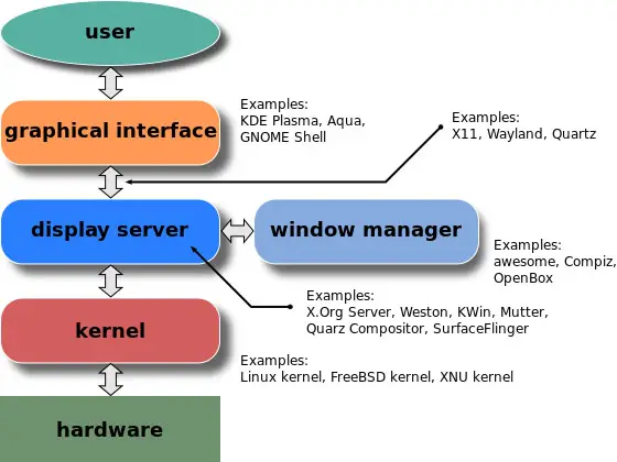 X-display server consisting of 1) user, 2) graphical interface, 3) display server, 4) kernel, and 5) hardware