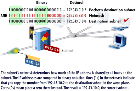2) The subnet's netmask determines how much of the IP address is shared by all