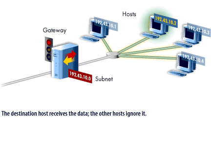 4) The destination host receives the data; the other hosts ignore it.
