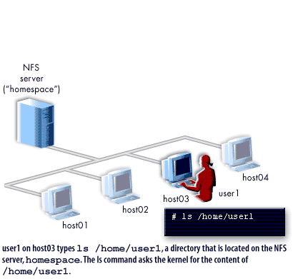 1) user1 on host03 type ls /home/user1, a directory that is local on the NFS server, homespace. 