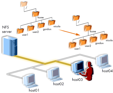 NFS servers supply a uniform filesystem to clients.