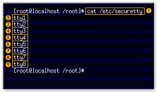 Secure Tty