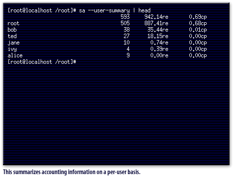 1) This summarizes accounting information on a per-user basis.