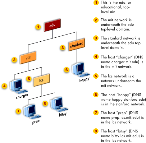 DNS viewed as a tree