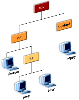 Domain Name Server