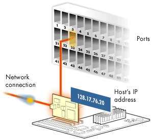 1) Network Connection, 2) Host's IP Address, 3) ports