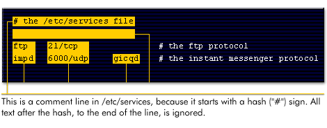 This is a comment line in /etc/services, because it starts with a hash (#) sign. All text after the hash, to the end of the line, is ignored.