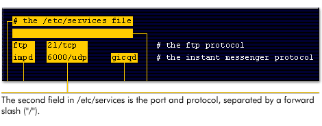 The second field in /etc/services is the port and protocol, separated by a forward slash (/)