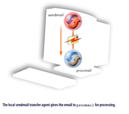 The local sendmail transfer agent gives the email to procmail for processing 