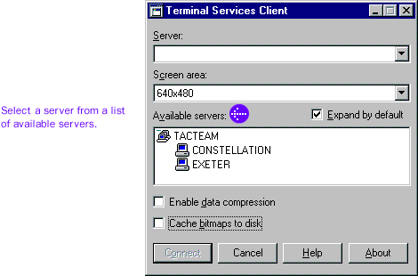 The Terminal Services Client dialog box
