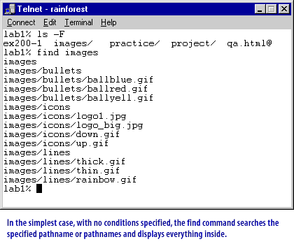 1) The find command searches the specified pathname or pathnames and displays everything inside