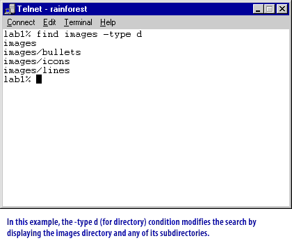 2) In this example, the -type d (for directory) condition modifies the search by displaying the images directory and any of its subdirectories.