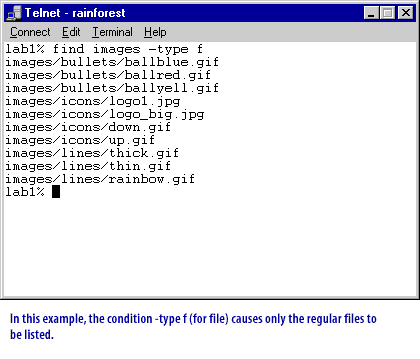 3) the condition-type f (for file) causes only the regular files to be listed.