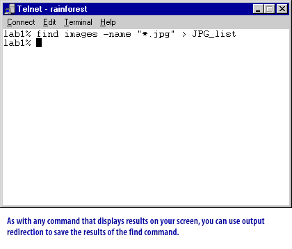 5) As with any command that displays results on your screen, you can use output redirection to save the result of the find command