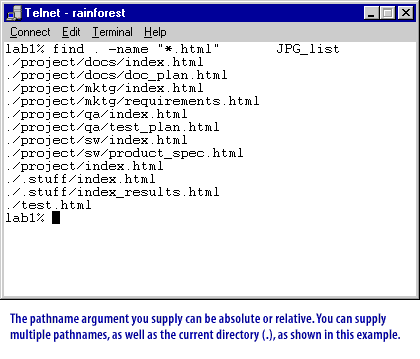 6) The pathname argument you supply can be absolute or relative. You can supply multiple pathnames, as well as the current directory (.), as shown in this example