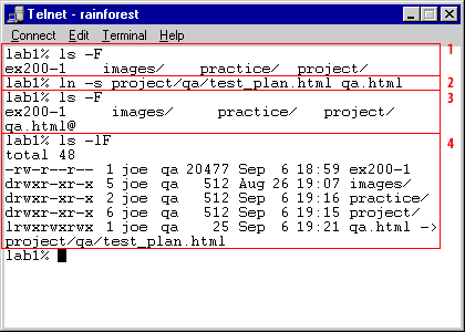 telnet-rainforest