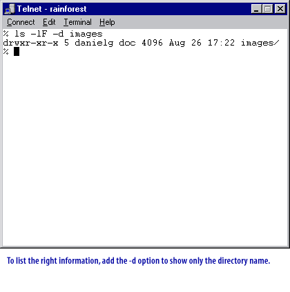 5) To list the right information, add the -d option to show only the directory name.