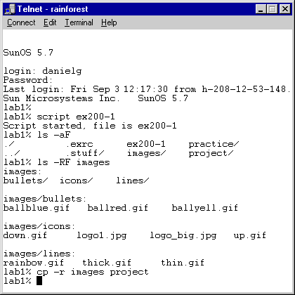 Recording commands in file