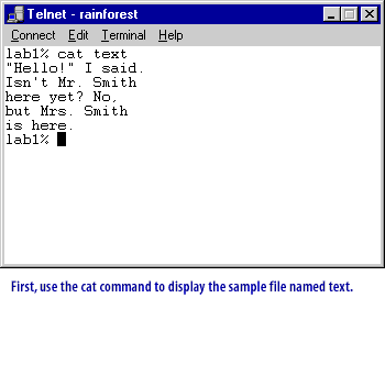 Using the cat command to display the sample file named text