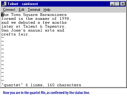 4) Now you are in the quartet file, as confirmed by the status line.