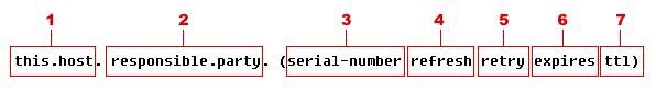 1) this.host 2) responsible.party 3) serial-number 4) refresh 5) retry 6) expires 7) ttl