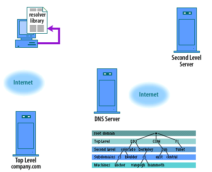 1) The browser makes a system call to the resolver library asking for the IP address of the machine www.company.com