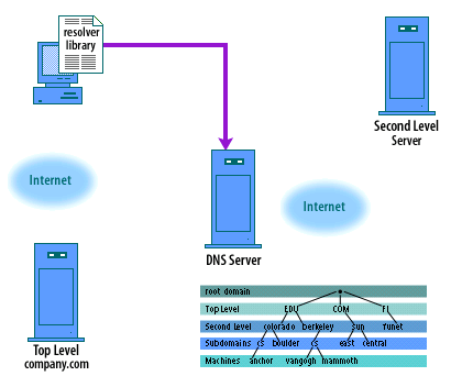 2) The resolver library looks up the address of the DNS server in /etc/resolv.conf. 