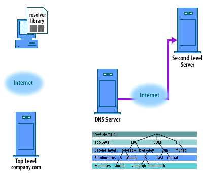 3) The name server at dns.acmetraining.com is not authoritative for the company.com zone.