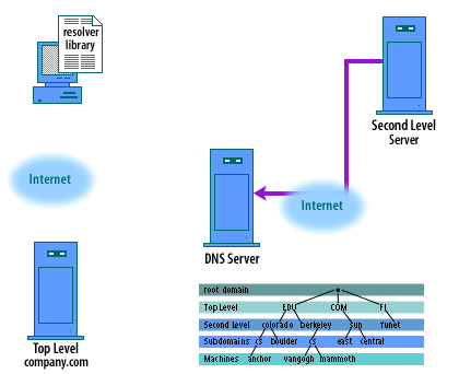 4) The root server replies with the IP address of the authoritative name server for company.com. (It may supply several choices, authoritative and secondary).