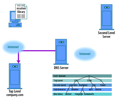 5) The name server dns.acmetraining.com now generates a query of the name server at company.com. What is the IP address of the machine www?