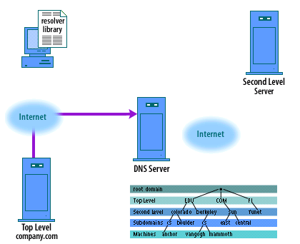 6) The server at dns.company.com replies with the IP address of www.company.com. 