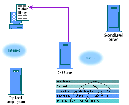 7) The name server at dns.acmetraining.com sends the IP address of www.company.com back to the machine student.acmetraining.com, where the resolver library is listening for it.